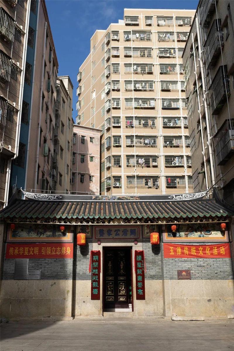 寻找光明记忆走进玉律社区探寻村落历史品尝特色美食