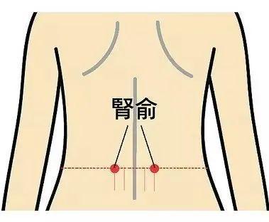 两手掌对搓至手心发热后,分别按于双肾俞穴(后背腰部),上下按摩腰背部