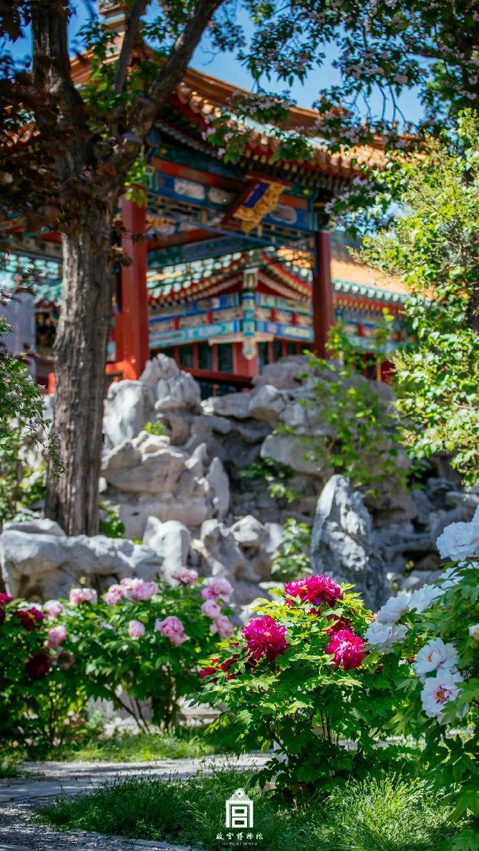 欣赏|这100张照片,就是去故宫的全部理由!