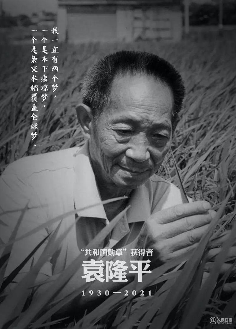 愿天下人都有饱饭吃袁隆平院士今日安葬现场每个细节都饱含深意