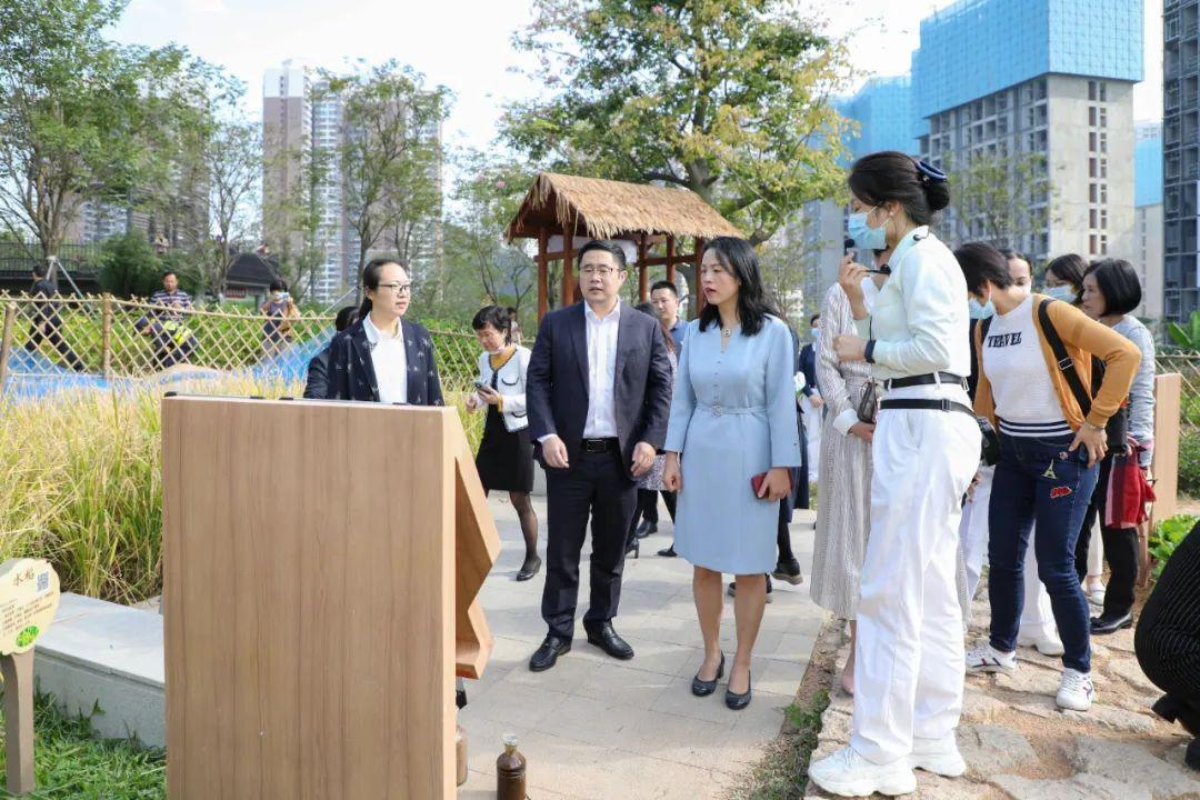 头条深圳市妇联到南山区调研妇女儿童工作