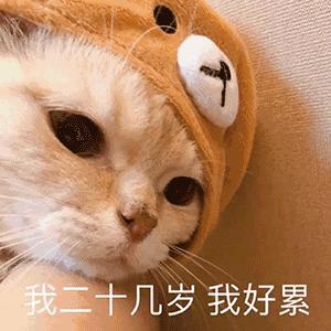 遍地狼藉,不忍直视简直可以倒在地上直接睡过去此处应有超多包裹配图