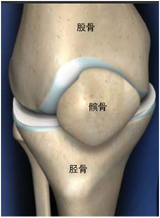 长期对髌骨软骨产生异常的摩擦,挤压等,使髌骨软骨发生损伤