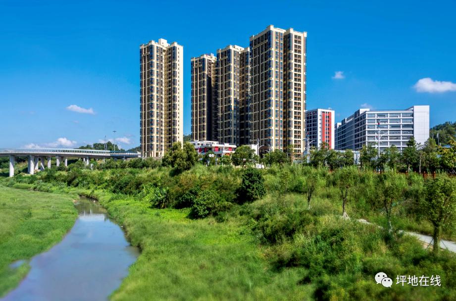 坪地坪馨苑520套房今天开始申请