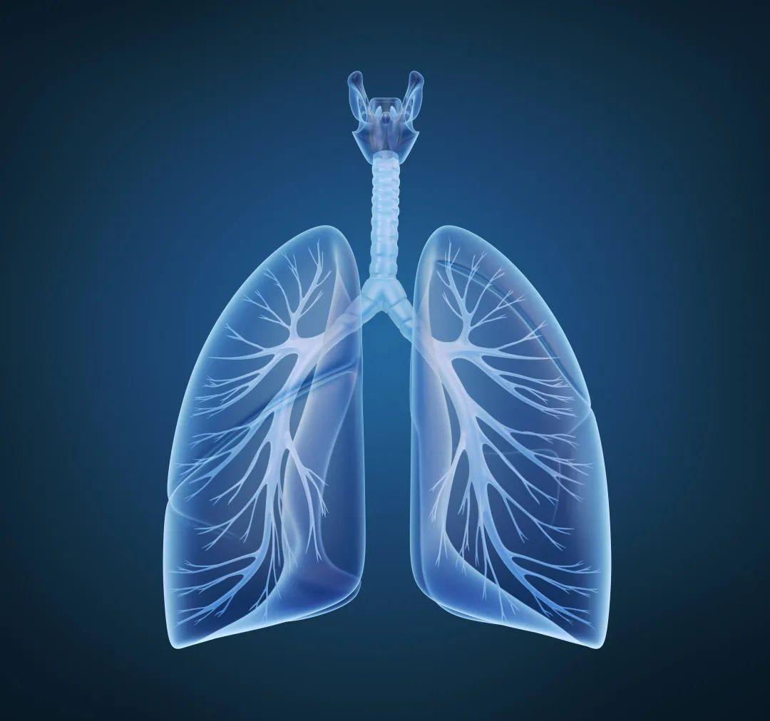 肺功能报告单图片图片