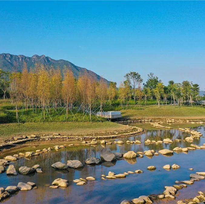 坝光这个会呼吸的公园已竣工验收即将面向公众开放