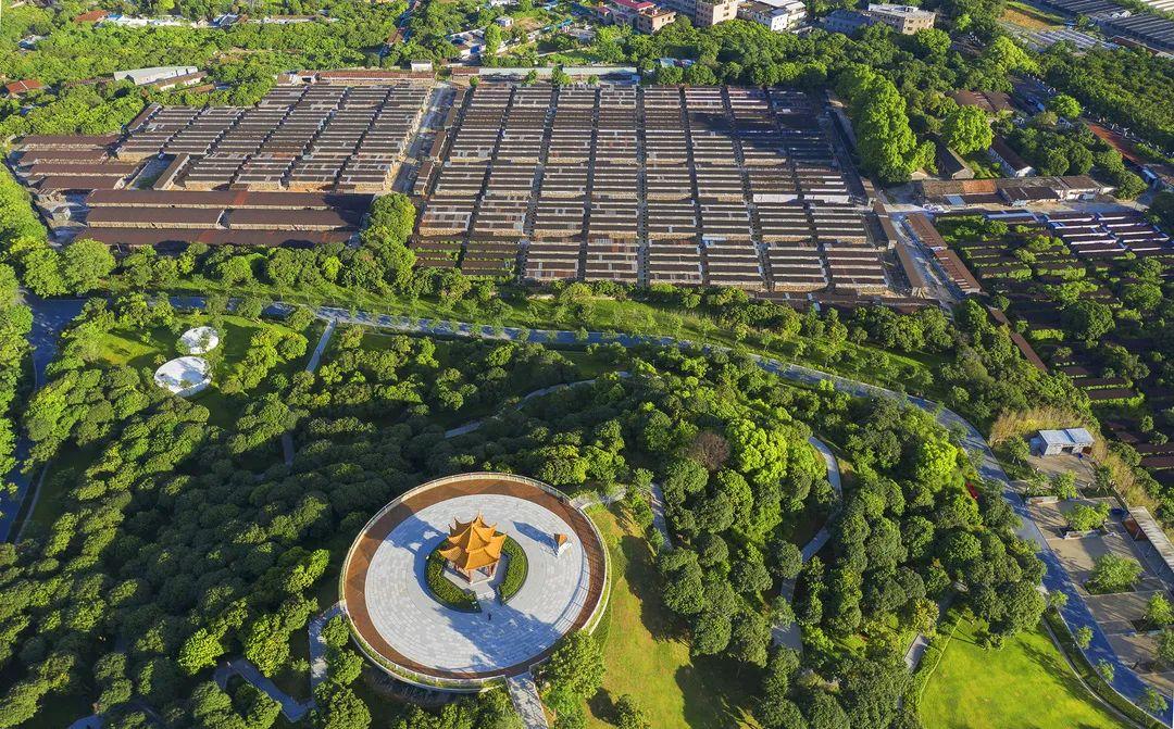 ta们镜头下的光明,也太美了吧!_深圳新闻网