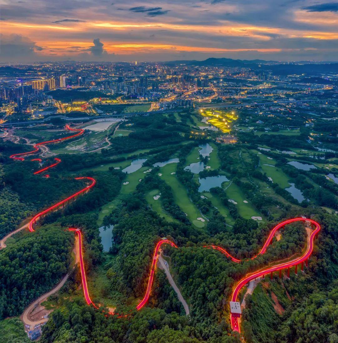 ta们镜头下的光明,也太美了吧!_深圳新闻网