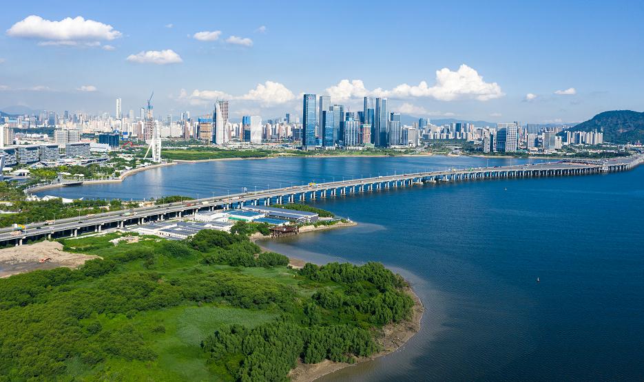 大湾区新引擎前海成为香港青年就业热土