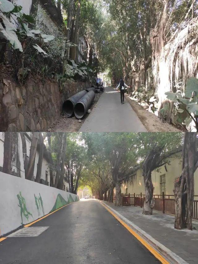 全力推进背街小巷改造提升,横岗街巷迎来大变化!_深圳新闻网