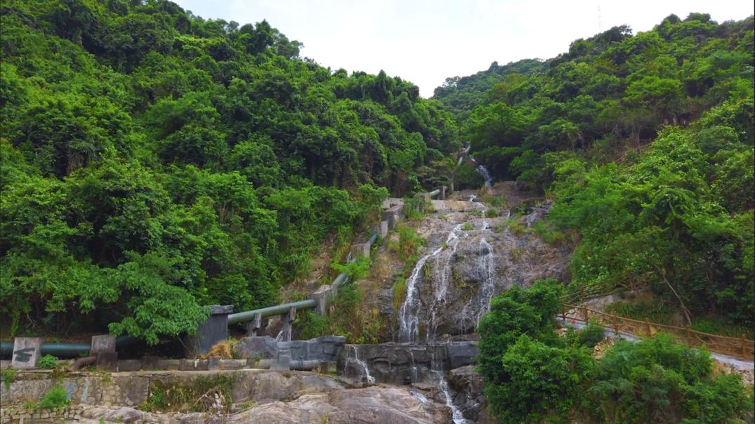 山海盛颜 最美盐田 | 这条生态翡翠项链,不仅有广东十大最美森林旅游