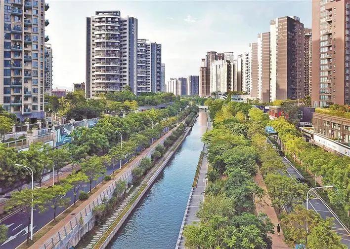 启动六大健康行动建成四个示范街区蛇口街道将打造健康中国标杆街区