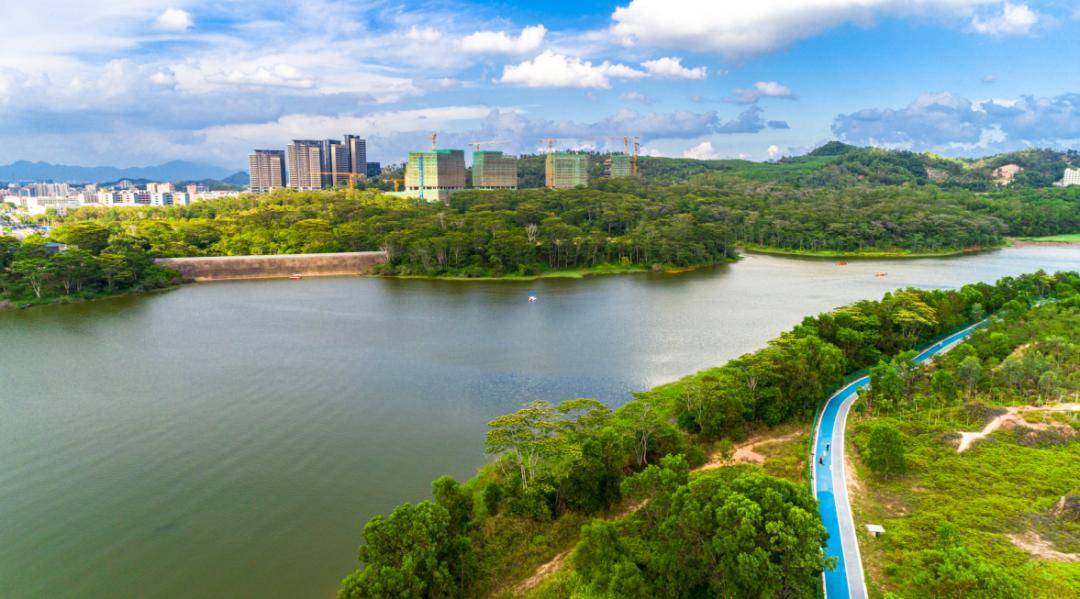 美不胜收一路赏景,至高处可俯瞰水库在碧道慢跑一圈旁有碧道,绿植与
