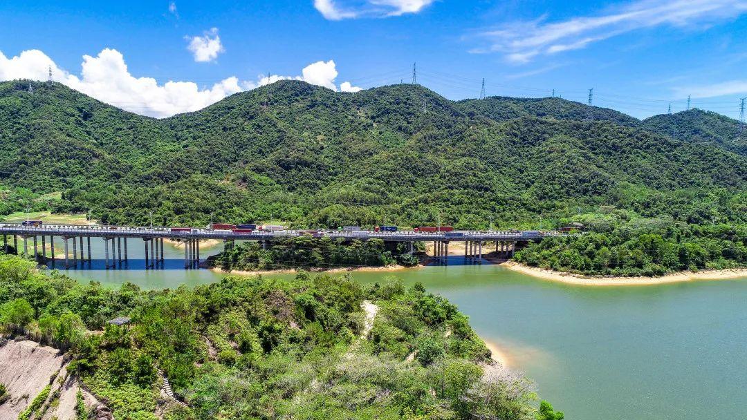 水库内树木丛生,清凉宜人位于民治街道白石龙村后观澜河的发源地是