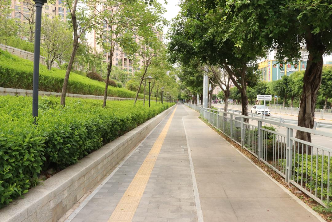 变平变绿变顺畅横岗深峰路邀您来点评