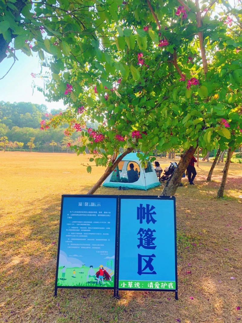 去公园搭帐篷郊游野餐成为许多家庭亲子