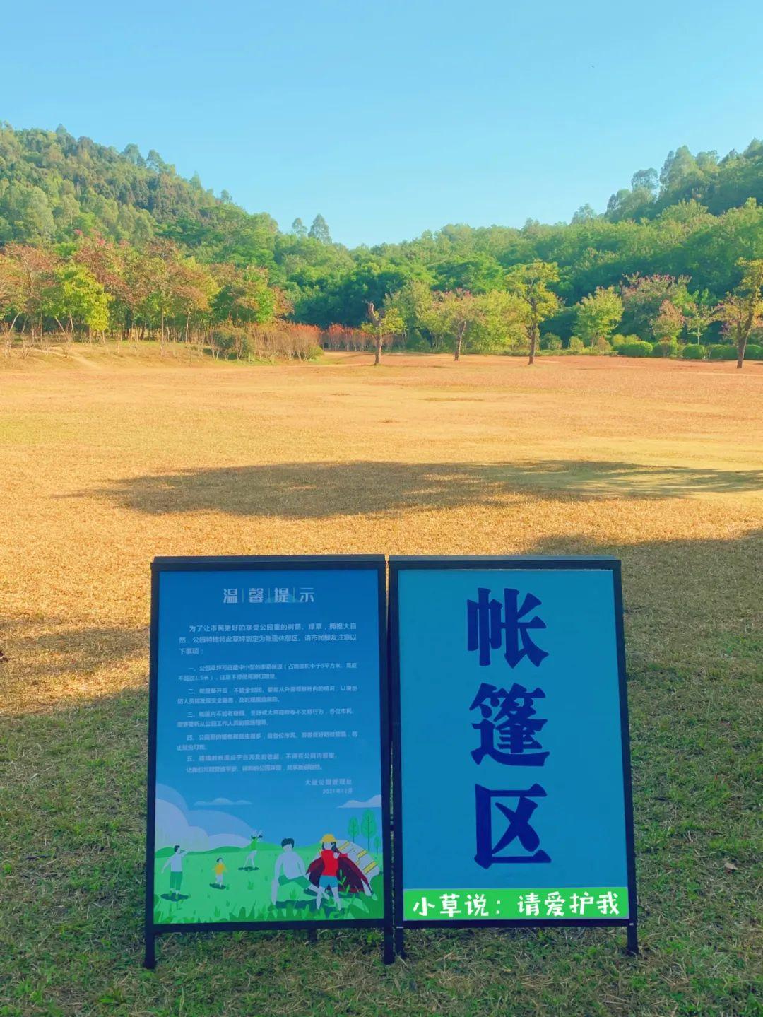 去公园搭帐篷郊游野餐成为许多家庭亲子
