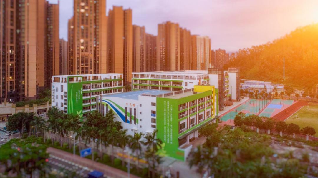 石芽岭学校的冬天是最美丽,最温暖的,校园里到处充满着绿色的生机,无