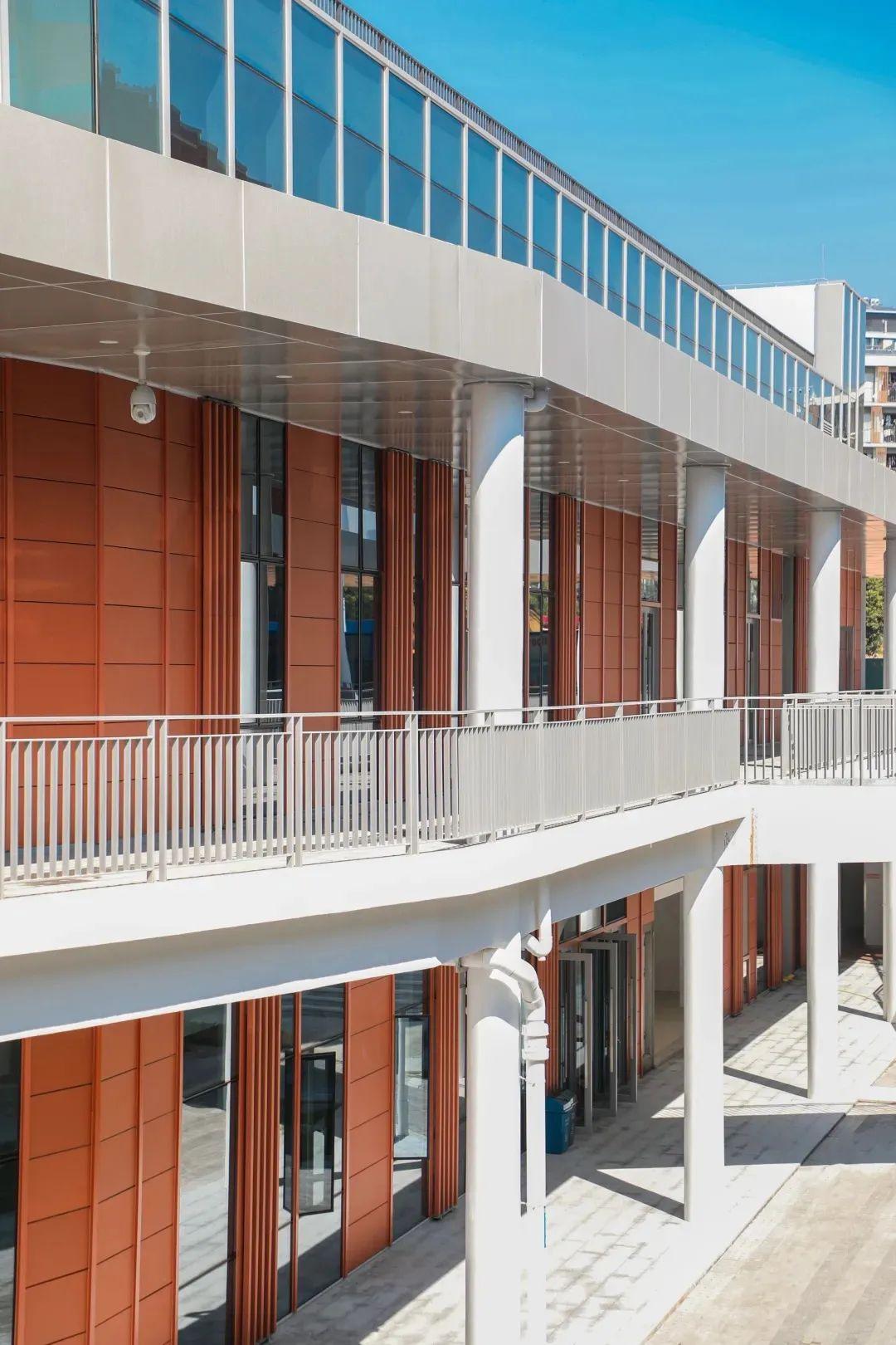 深圳本土第一所南科大凭什么入选双一流