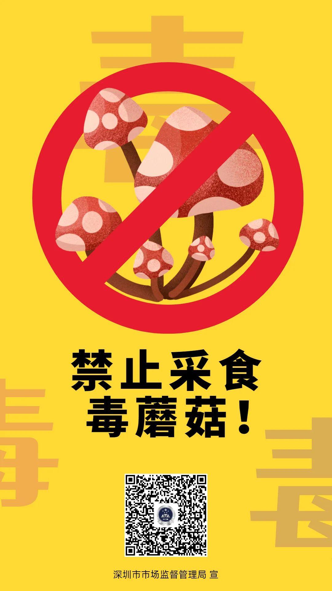 毒蘑菇高发季警钟再次敲响说了那么多遍还不听真的有毒