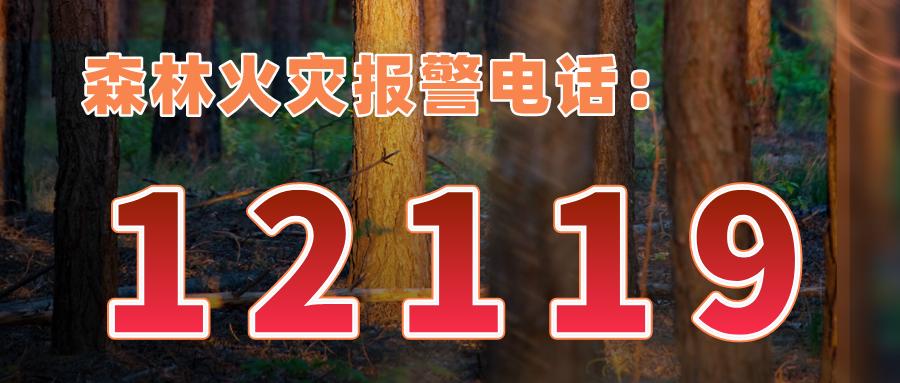 踏青好时候山火易发时