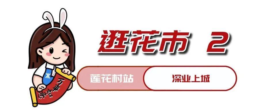 深圳花卉市场招聘