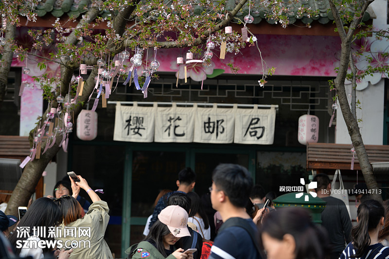 2018年3月31日,江苏无锡鼋头渚景区,一个名为樱花邮局的店面门前,人头