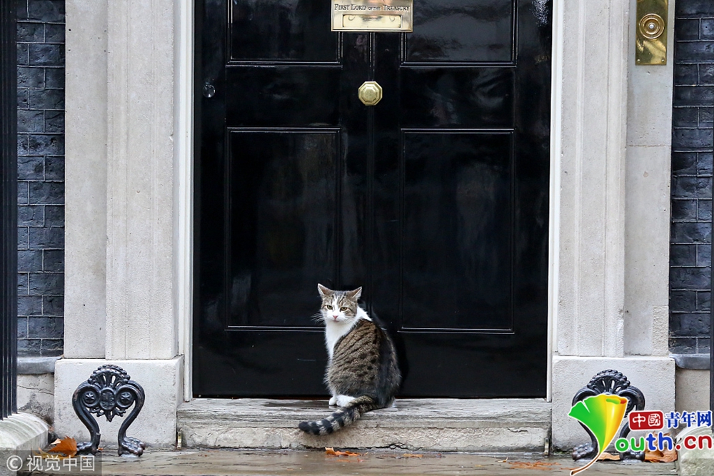 铲屎官快来英首席捕鼠官用眼神呼唤警察为其开门