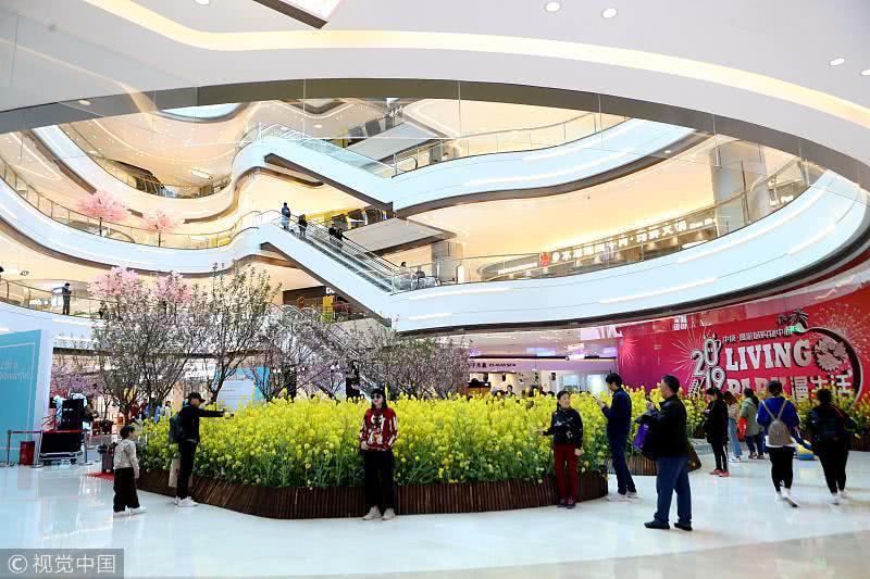 商家也是拼了商场大厅种2200棵油菜花吸引客流