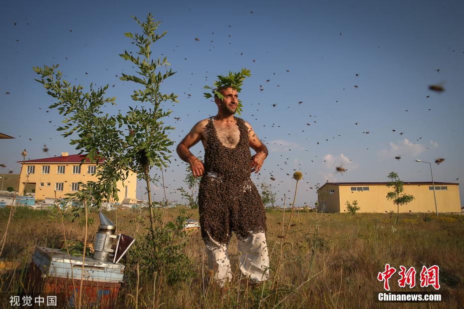 土耳其养蜂人挑战吉尼斯世界纪录用身体吸引蜜蜂