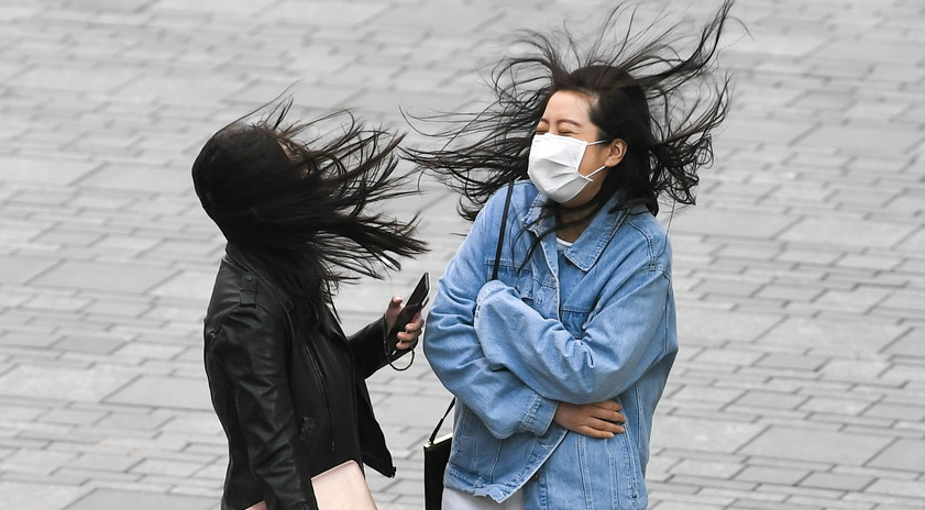 北京八九级大风已进城 试问一句"您的秀发还好吗"?