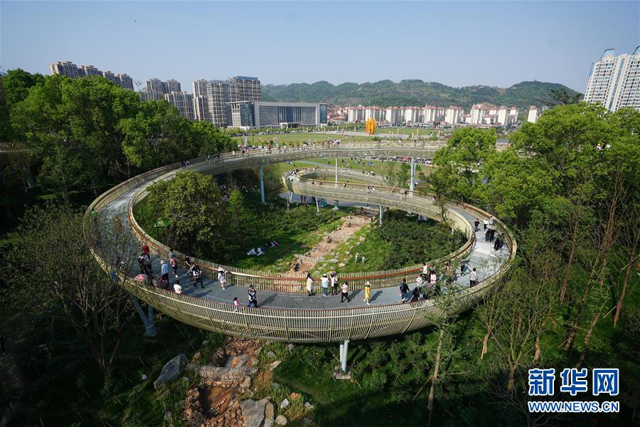 "天空中"的森林步道 _深圳新闻网