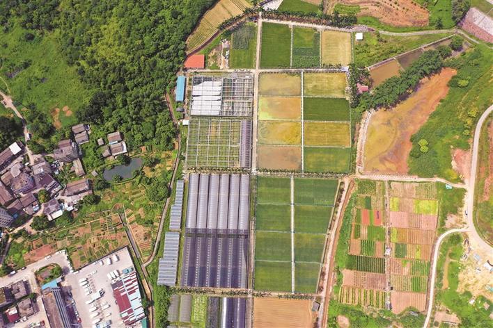 深圳将打造国家级农业科技中心