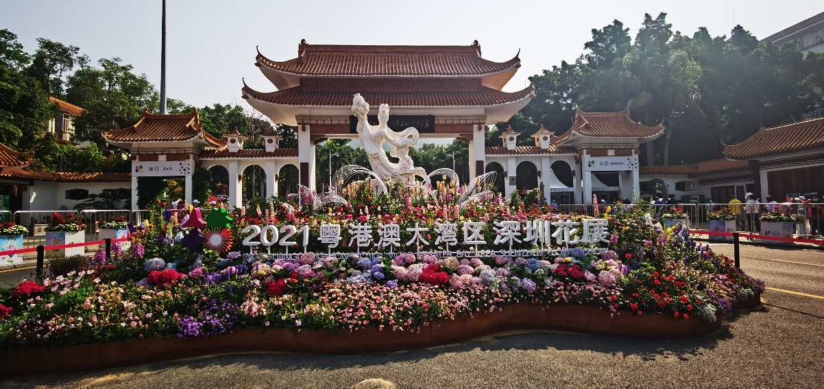 春游赏花新模式联通5g带你领略不一样的深圳花展