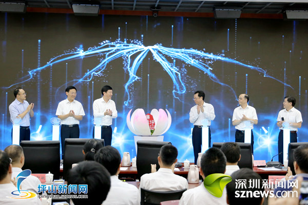 张子兴调研坪山区党风廉政大数据平台