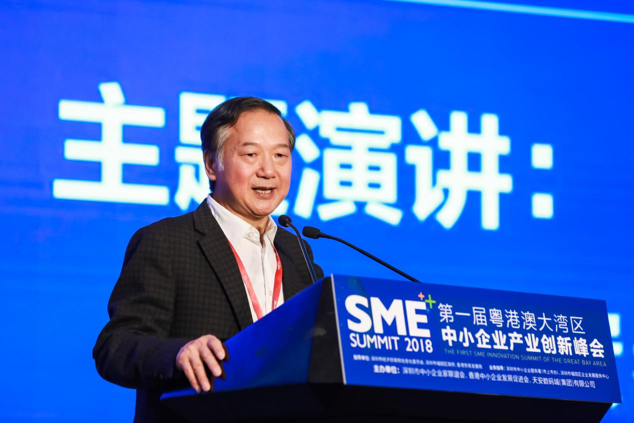 周宏春发表主题演讲一带一路与粤港澳大湾区建设