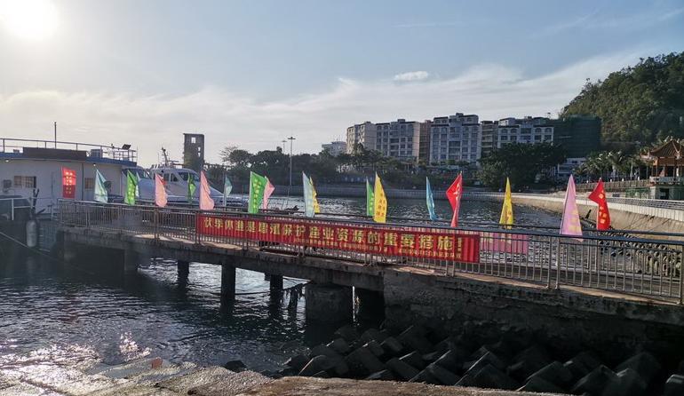 【可持续发展先锋】深圳正式进入休渔期 将持续至8月16日