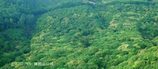 【美丽湾区】深圳：用镜头记录你的南山故事