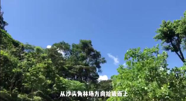 【百灵·靓】深圳：恩上瀑布美如画！大批游客慕名前来打卡
