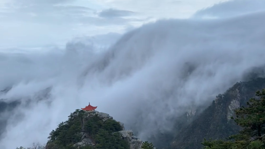 奇观天下|罕见！庐山现壮观瀑布云（视频）