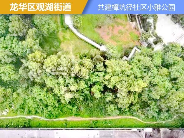 落实情况|完成方案设计 打造新型零碳公园